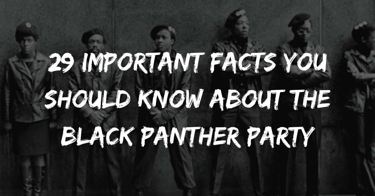29 Important Facts You Should Know About the Black Panther Party - Melanin Is Life 29 Important Facts You Should Know About the Black Panther Party - Melanin Is Life